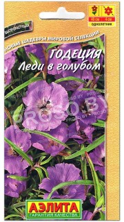 Годеция Леди в голубом