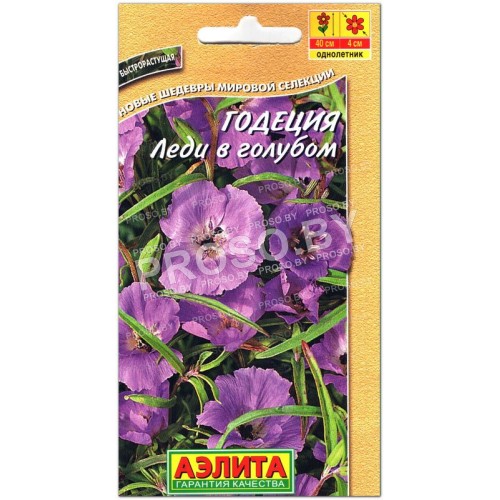 Годеция Леди в голубом