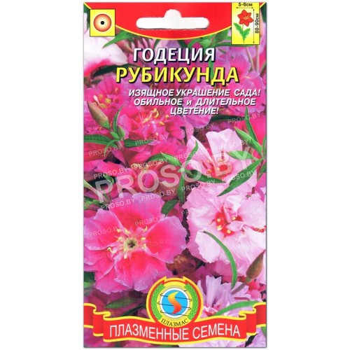 Годеция Рубикунда
