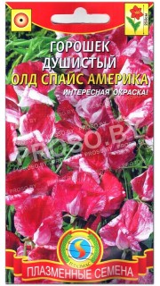 Душистый горошек Олд спайс Америка
