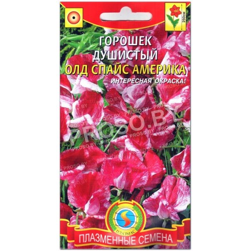 Горошек душистый Олд спайс Америка