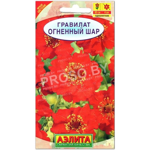 Гравилат Огненный шар