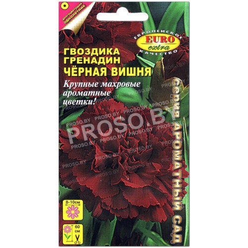 Гвоздика гренадин Черная вишня