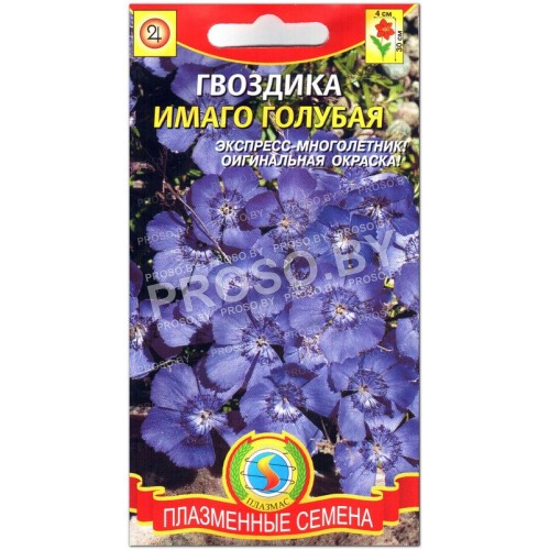 Гвоздика Имаго голубая