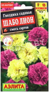 Гвоздика Шабо Лион, смесь