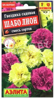 Гвоздика Шабо Лион, смесь