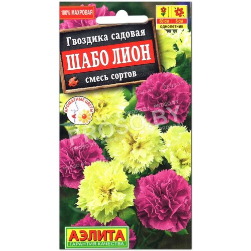 Гвоздика Шабо Лион, смесь