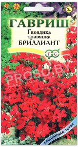 Гвоздика травянка Бриллиант