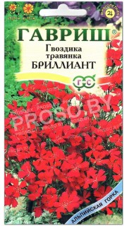 Гвоздика травянка Бриллиант