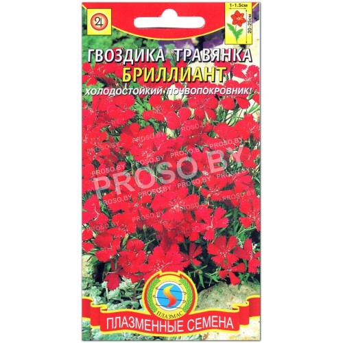 Гвоздика травянка Бриллиант-1