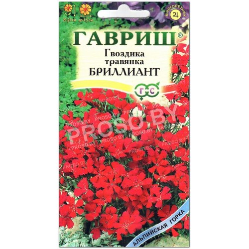 Гвоздика травянка Бриллиант