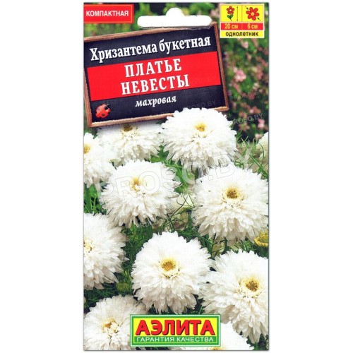 Хризантема Платье невесты