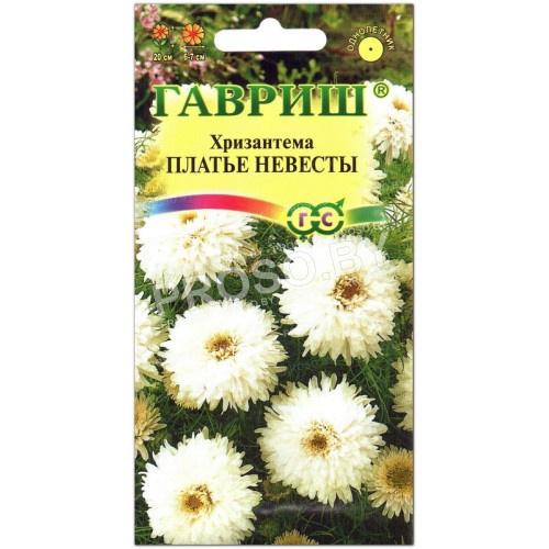 Хризантема Платье невесты-1
