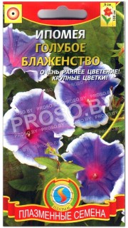Ипомея Голубое блаженство