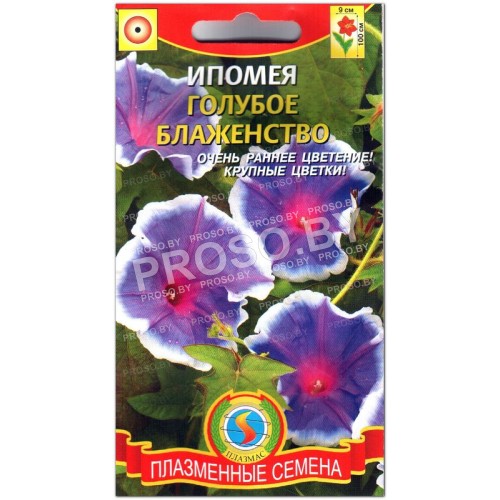 Ипомея Голубое блаженство