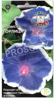 Ипомея Горлица
