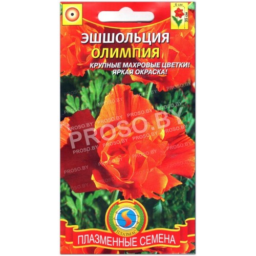 Эшшольция Олимпия