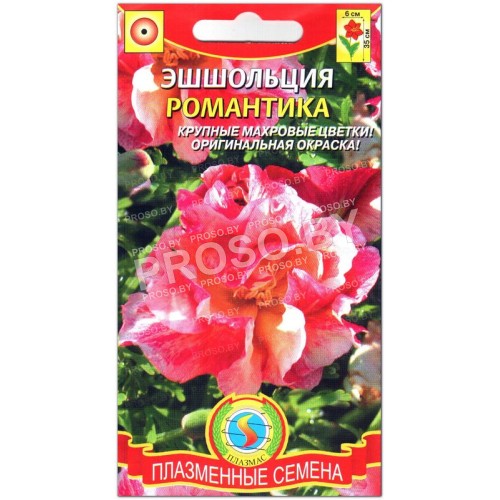 Эшшольция Романтика-1