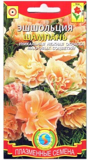 Эшшольция Шампань