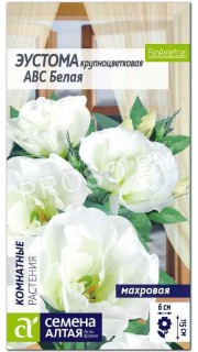 Эустома АВС Белая