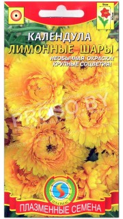 Календула Лимонные шары