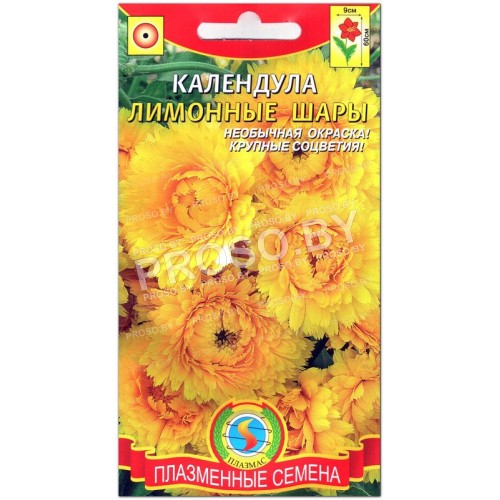 Календула Лимонные шары