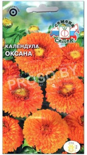 Календула Оксана