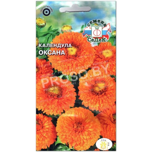 Календула Оксана