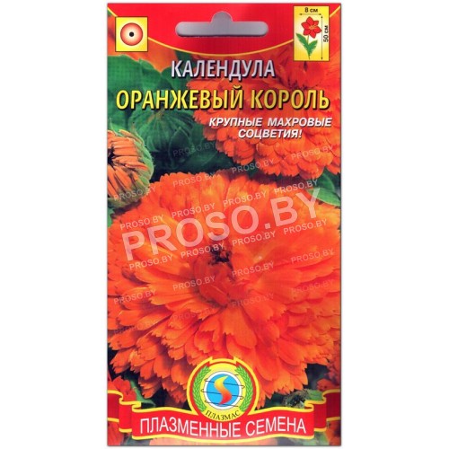 Календула Оранжевый король