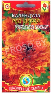 Календула Ред девил