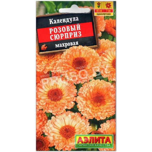 Календула махровая Розовый сюрприз