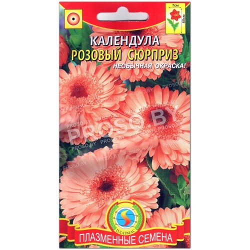 Календула махровая Розовый сюрприз-1