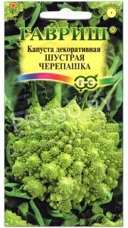 Капуста декоративная Шустрая черепашка