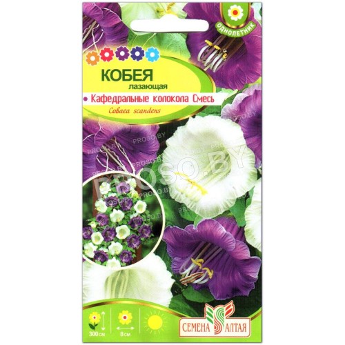 Кобея лазающая Кафедральные колокола, смесь