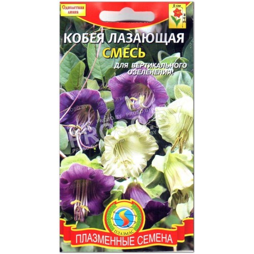 Кобея лазающая Смесь (микс)-1