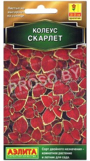 Колеус Скарлет