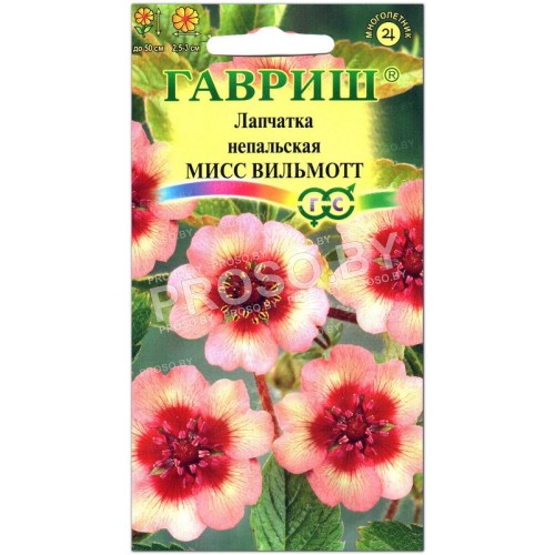 Лапчатка непальская Мисс Вильмотт-1