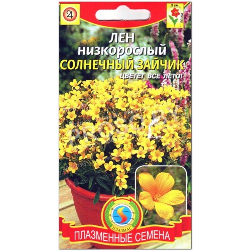 Лен низкорослый Солнечный зайчик