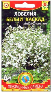 Лобелия Белый каскад