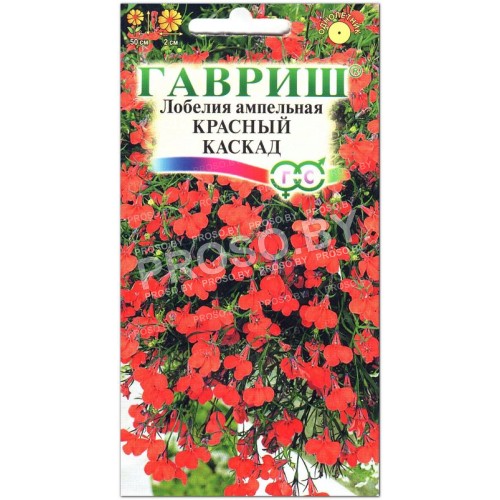 Лобелия ампельная Красный каскад-1
