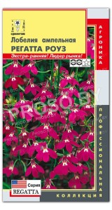 Лобелия ампельная Регатта роуз