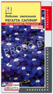 Лобелия ампельная Регатта сапфир