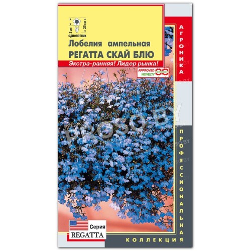 Лобелия ампельная Регатта Скай блю