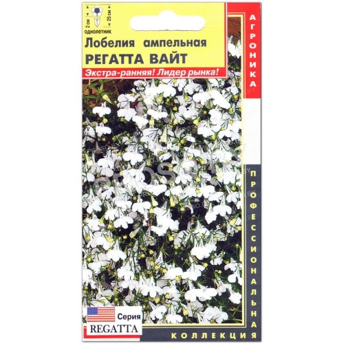 Лобелия ампельная Регатта вайт