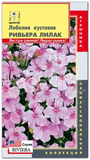 Лобелия кустовая Ривьера лилак