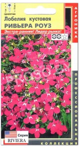 Лобелия кустовая Ривьера роуз (riviera rose) F1