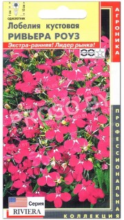 Лобелия кустовая Ривьера роуз (riviera rose) F1