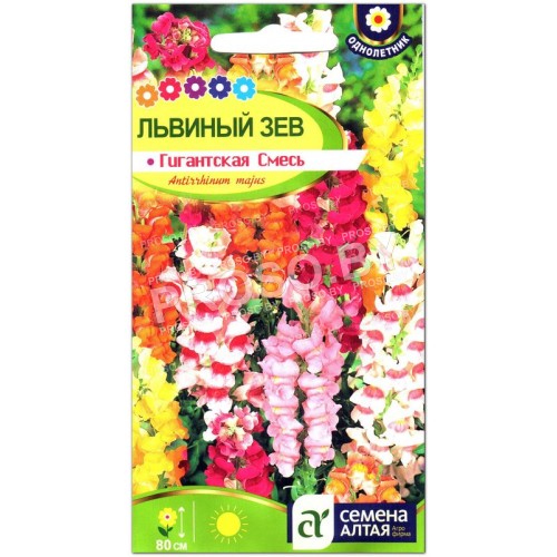 Львиный зев Гигантская смесь
