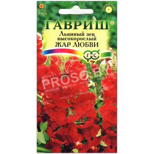 Львиный зев Жар любви, высокорослый