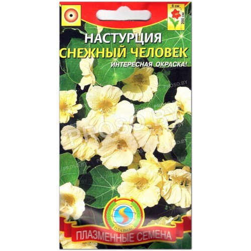 Настурция Снежный человек